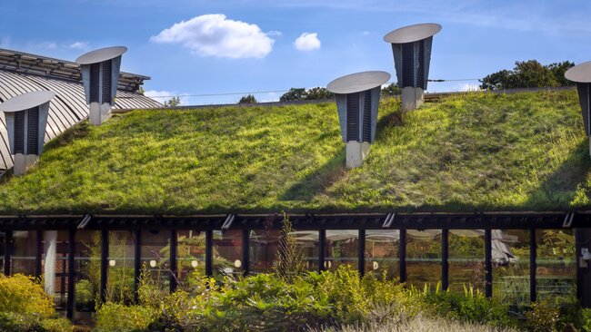 Green roof example