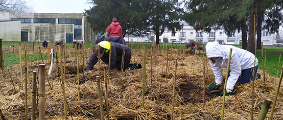 Photo matinée plantation avec Mini Big Forest