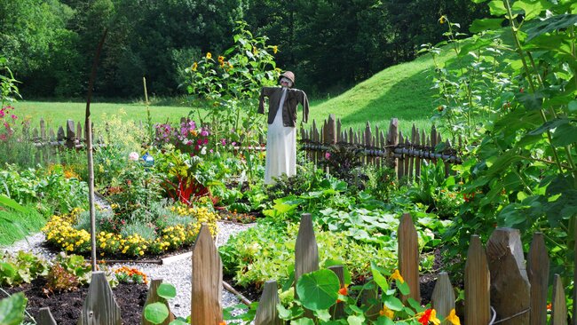 sustainable vegetable garden example