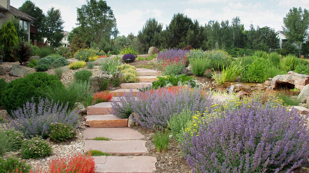 Xeriscaping example